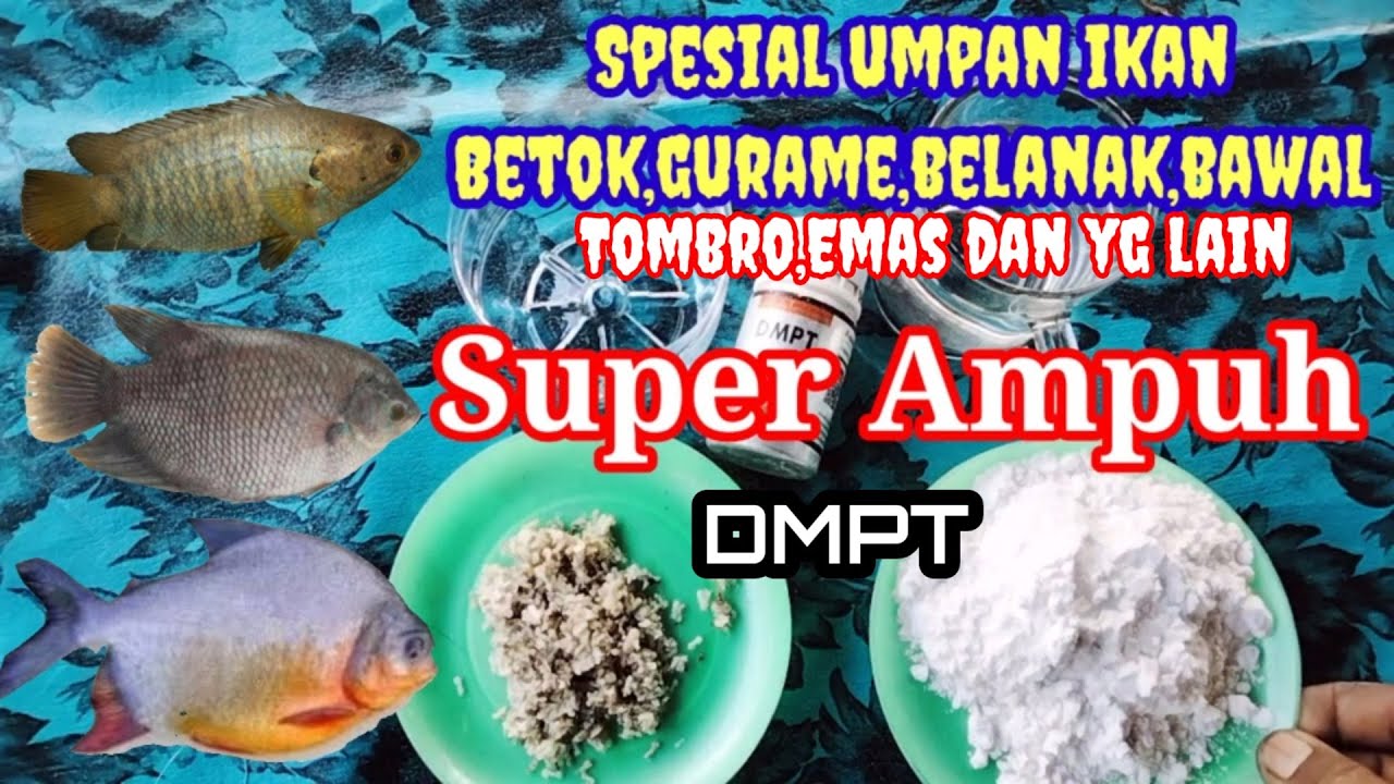 umpan spesial ikan || Essen DMPT 