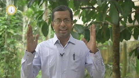 DOMUSCAT | CLASS 12 | CHAPTER 6 | PART 2| ERNAKULAM-ANGAMALY ARCHDIOCESE/ SUNDAY SCHOOL CATECHISM