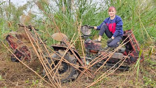 : The girl repaired and restored the old plow for her neighbor.