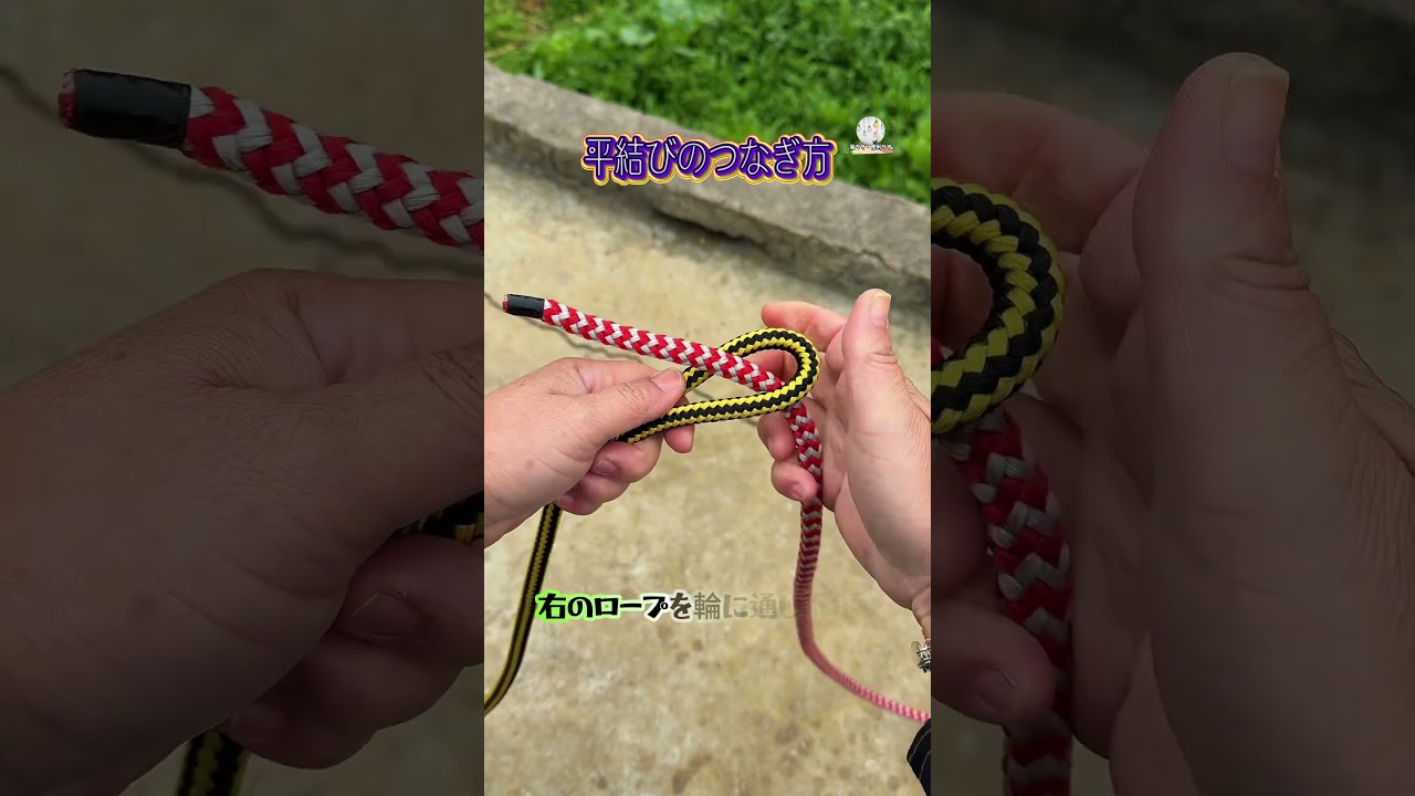 【フラットノットを適当に結ぶな！】折って通して巻く二ステップ，もう緩まない！#ノースキルテクニック #生活小技 #ロープ結びの落とし穴回避