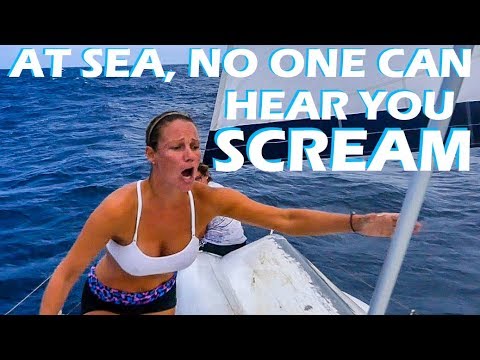 Australia Snake Prank - S2:E81