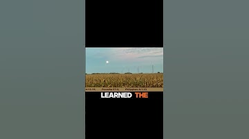 The Secret of Contentment #substack #shorts