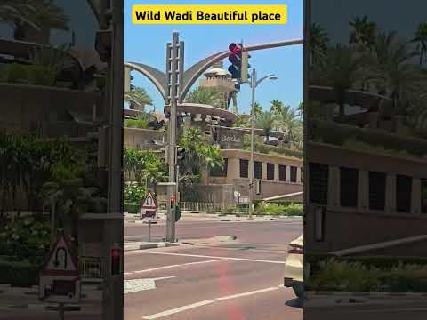 Wild wadi water park #beautiful #Emirates #dubailfe #dubai #shortsviral #foryou