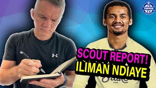 Would Iliman Ndiaye Improve Everton? | Scout Report
