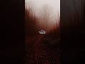 track: i said, don‘t get my hopes up #darkambient #ambientmusic #comfort #melancholy #fyp