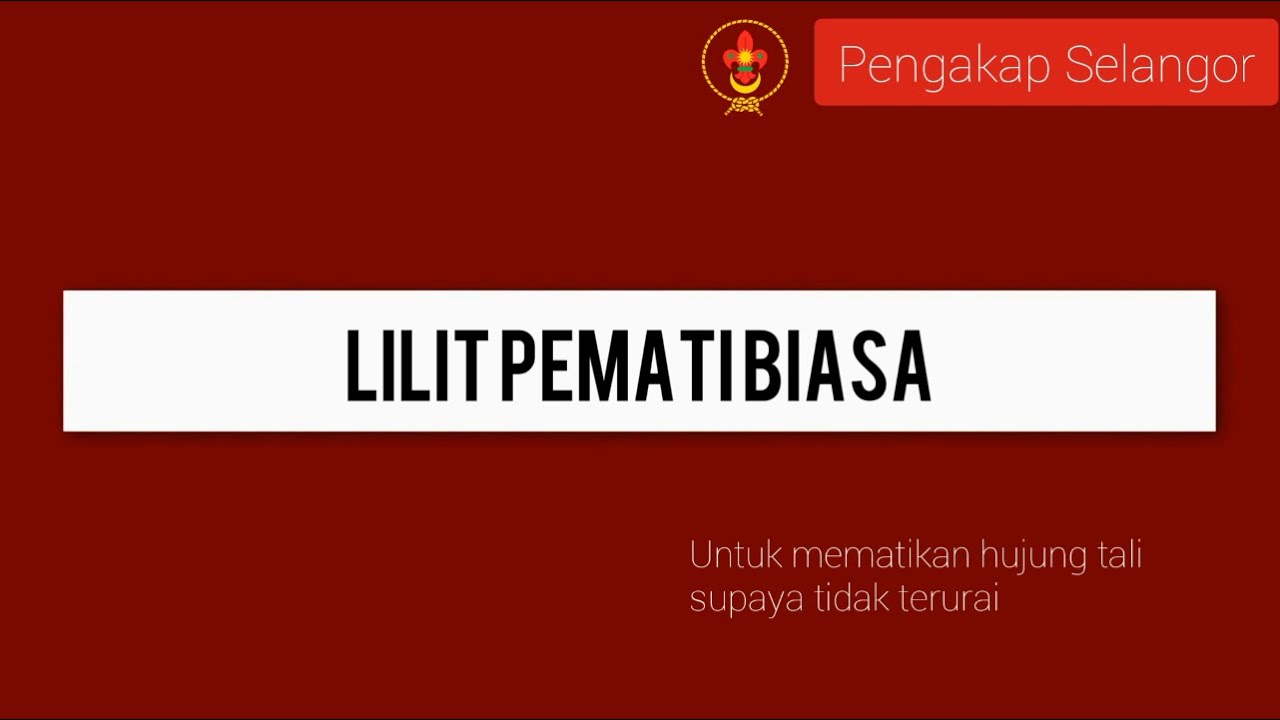 Lilit Pemati Biasa / Common Whipping