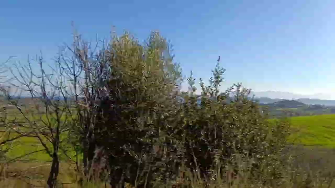 1 Μαρτίου 2026