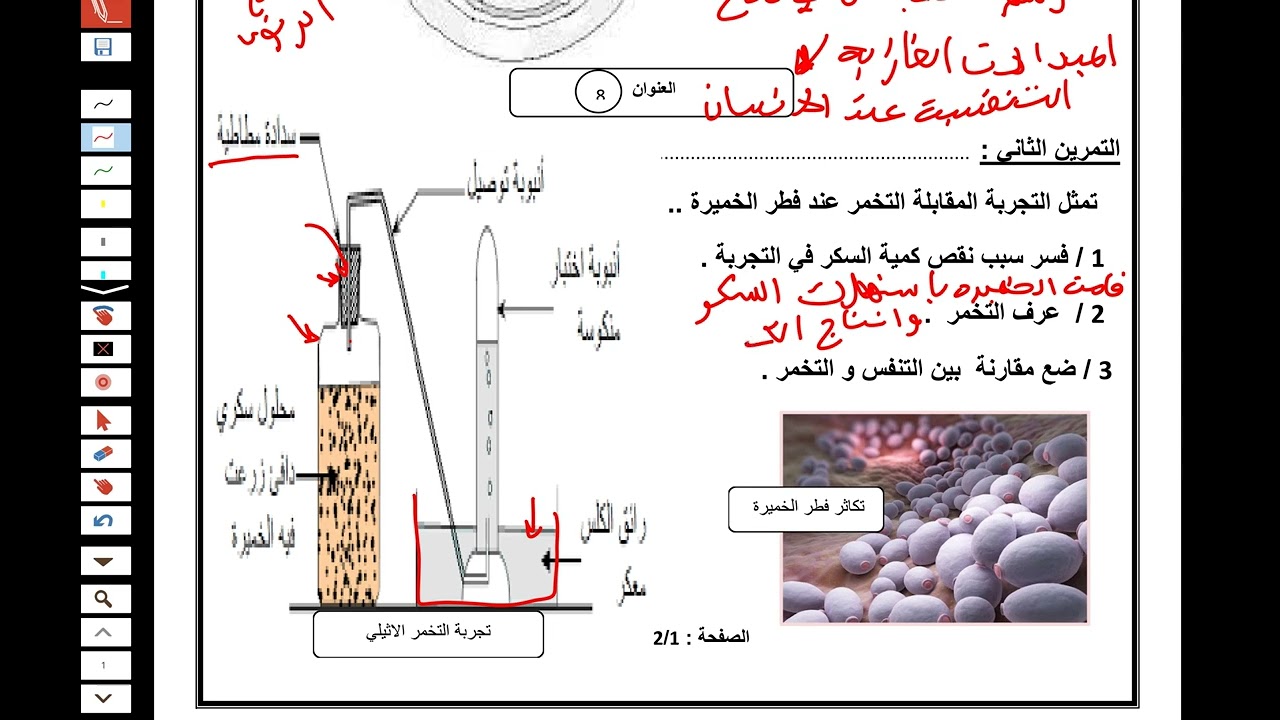 اختبار الفصل الثالث علوم الأولى متوسط مع المراجعة