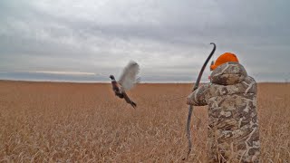 Pheasant Hunt with Traditional Bow | 16 SLOW-MO SHOTS & THE GREATEST MISSES in Bowhunting (ONE HIT) screenshot 3