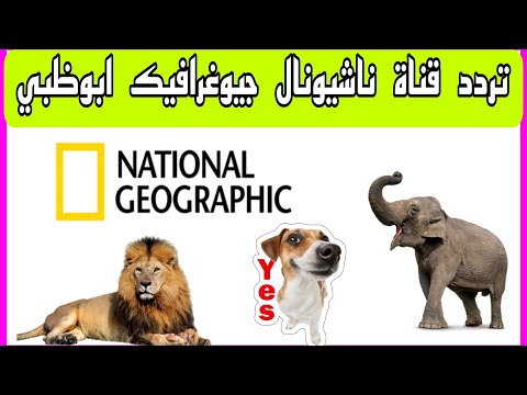 تردد قناة ناشيونال جيوغرافيك أبوظبي على قمر نايل سات 2026