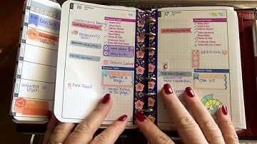 DIYFish inserts: Current Planning System