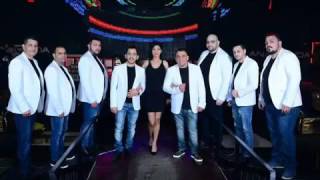 Novo Ork Okey Qma Svadba,, New Hit 2016