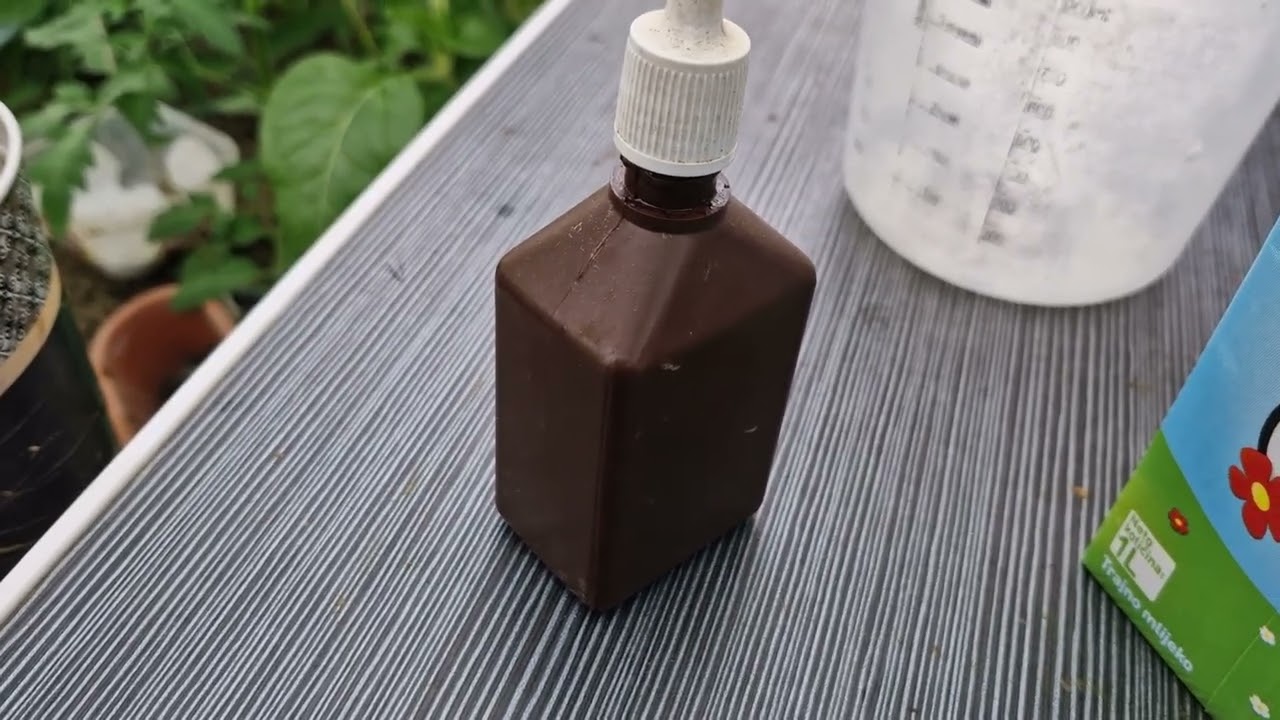 Nećete prepoznati krastavce ako ih prihranite folijarno i zalivanjem ovim đubrivom