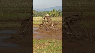 Grabi gyud ka danglog bisag gibaklay na natumba pagyud.