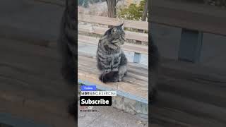 Good Friday Morning By Him