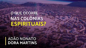 O que define a relação ecológica do tipo colônia?