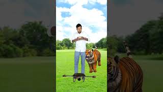 funny tiger attack flying drone video | shorts