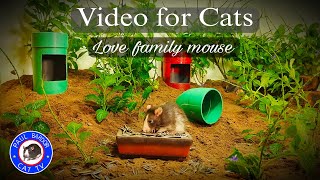 Cat tv for Cats to watch | The mouse family lives happily with  piano music Paul Bardor