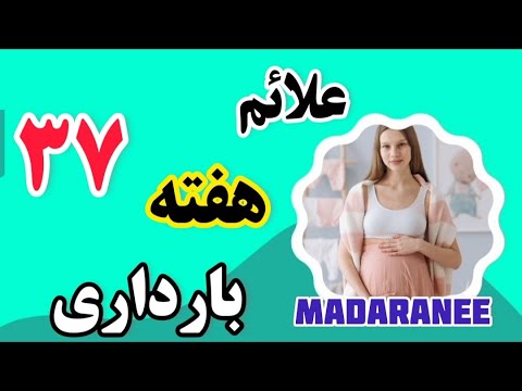 هفته سی وهفتم بارداری ماه نهم بارداری علائم هفته۳۷ بارداری سه ماه سوم بارداری هفته ۳۷ بارداری