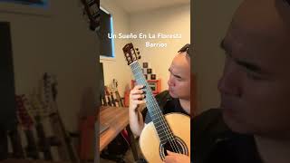 Drop DG tuning sounds amazing right? #classicalguitar #guitar #agustinbarrios #guitarmusic