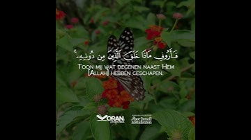Soerah Loeqmaan | Vers 11 | Abdul Wahab Tahir |سورة لقمان | عبدالوهاب طاهر