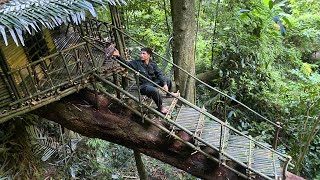 Solo Bushcraft: Complete a triangular bushcraft house on a giant tree stump. Bushcraft Survive - P.3