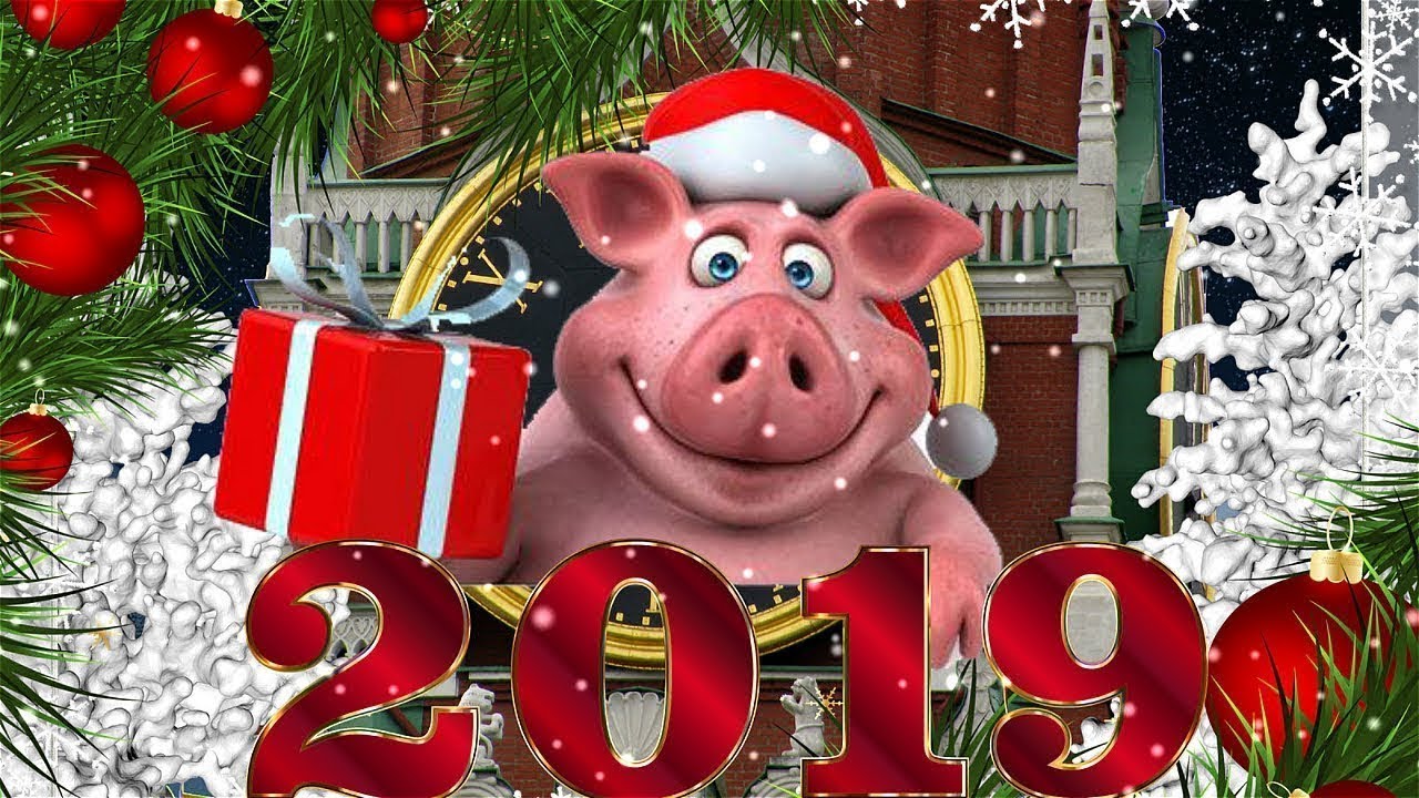 Поздравление, прикольные фото с наступающим новым годом 2019