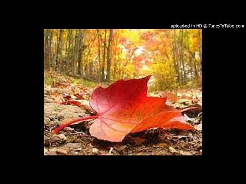 როგორც ფოთოლი