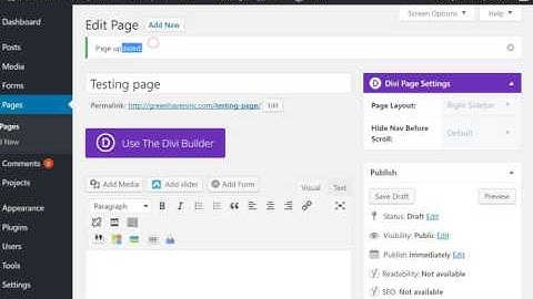 Divi not allowing page or post publish.