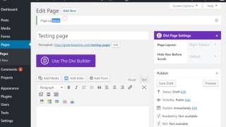 Divi not allowing page or post publish.