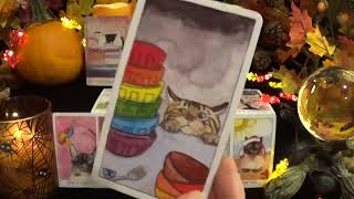 картинка: 🐈Рыбы | Расслабьтесь! Всё сложится идеально | Таро на данный момент