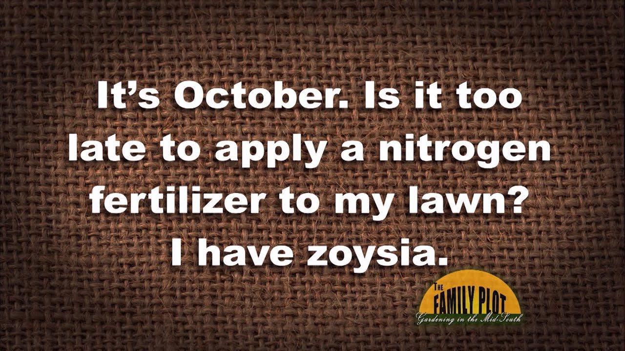 Q A Is October Too Late To Apply Nitrogen Fertilizer To My Zoysia q-a-is-october-too-late-to-apply-nitrogen-fertilizer-to-my-zoysia