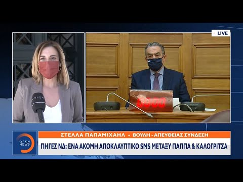 Προανακριτική: Πηγές της ΝΔ για ακόμη ένα sms μεταξύ Παππά και Καλογρίτσα | Μεσημεριανό Δελτίο