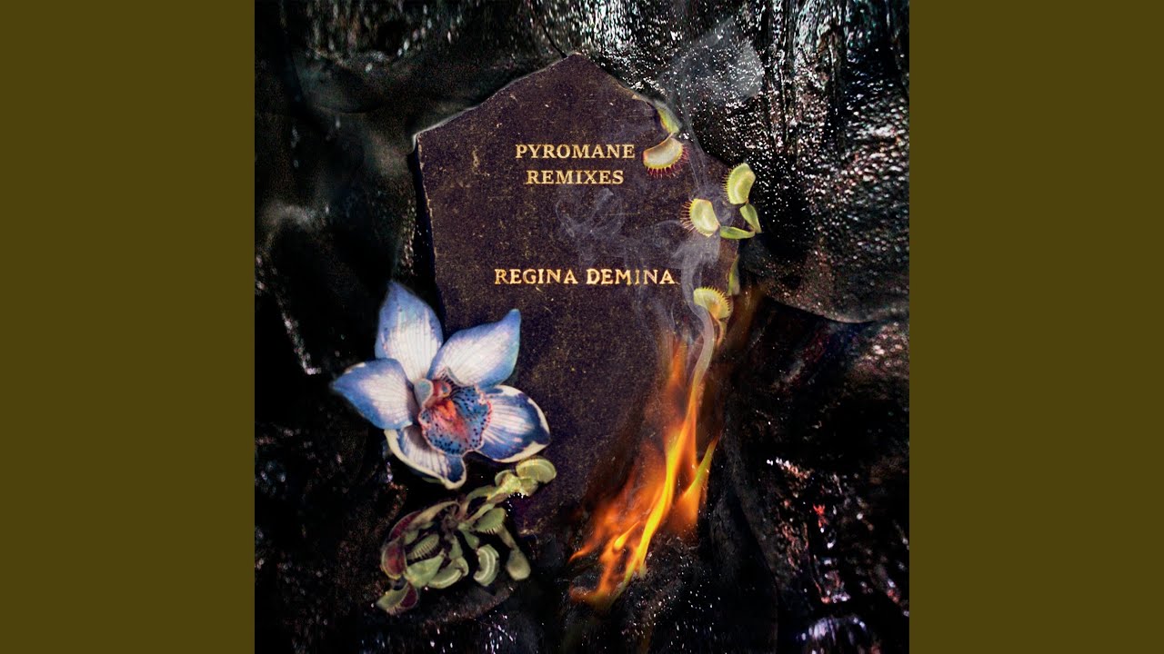 Pyromane (Fifth Era Remix) adlı videoyu YouTube'da izle Pyromane (Fifth Era Remix) adlı videoyu YouTube'da izle