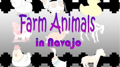 Farm Animals in Navajo