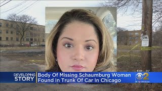 Body Of Missing Schaumburg Woman Found