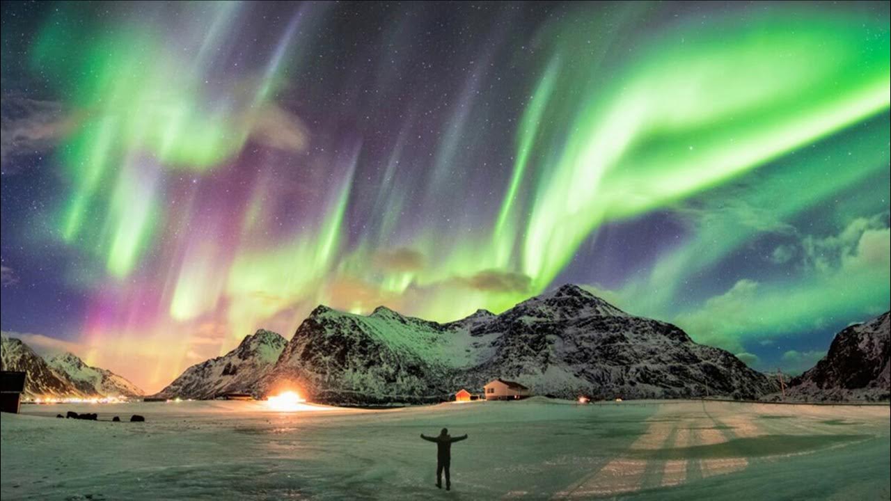 Der Waldläufer - AURORA Der Waldläufer - AURORA