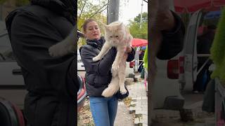 Собачий ринок Одеса Одесса котики цуценя #животные #милота #dog #dogs #счастье #собака #суперсобака
