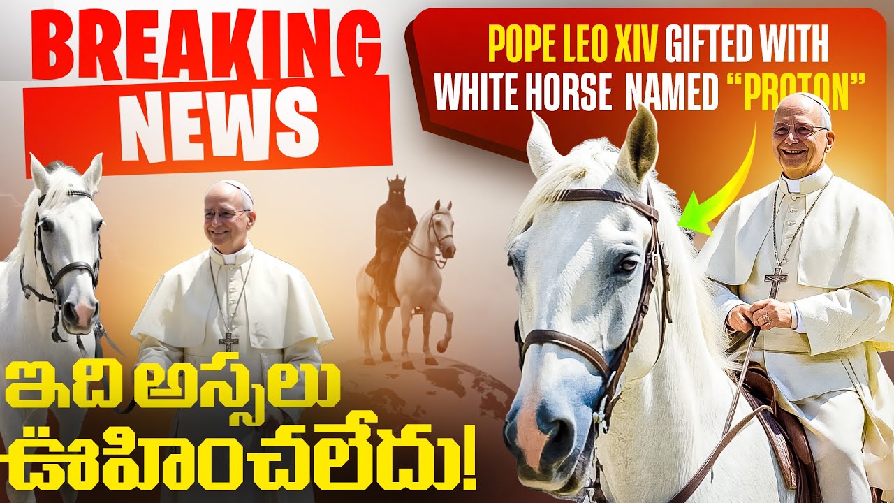 💥👀 Этого совсем не ожидали |😱❗ Папе Льву 14 подарили белого коня «Протон» |⏳ Скоро ли Скорбь? |