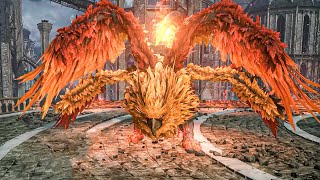 Dark Souls Archthrones - Heide Phoenix Boss Fight