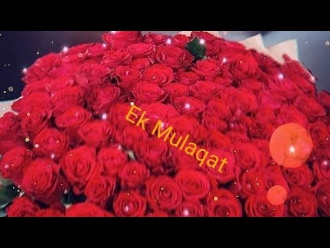 Ek Mulakat Ho Tu mere paas Ho lyrics WhatsApp status