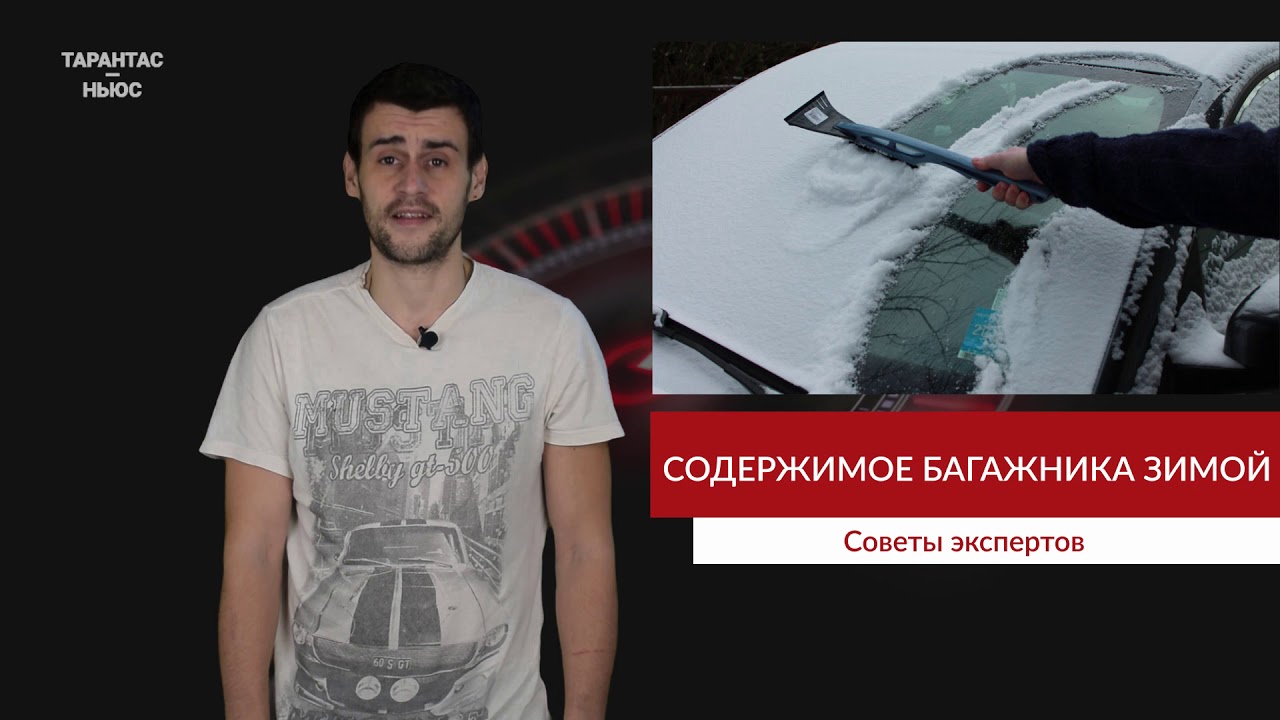 Люди в багажнике