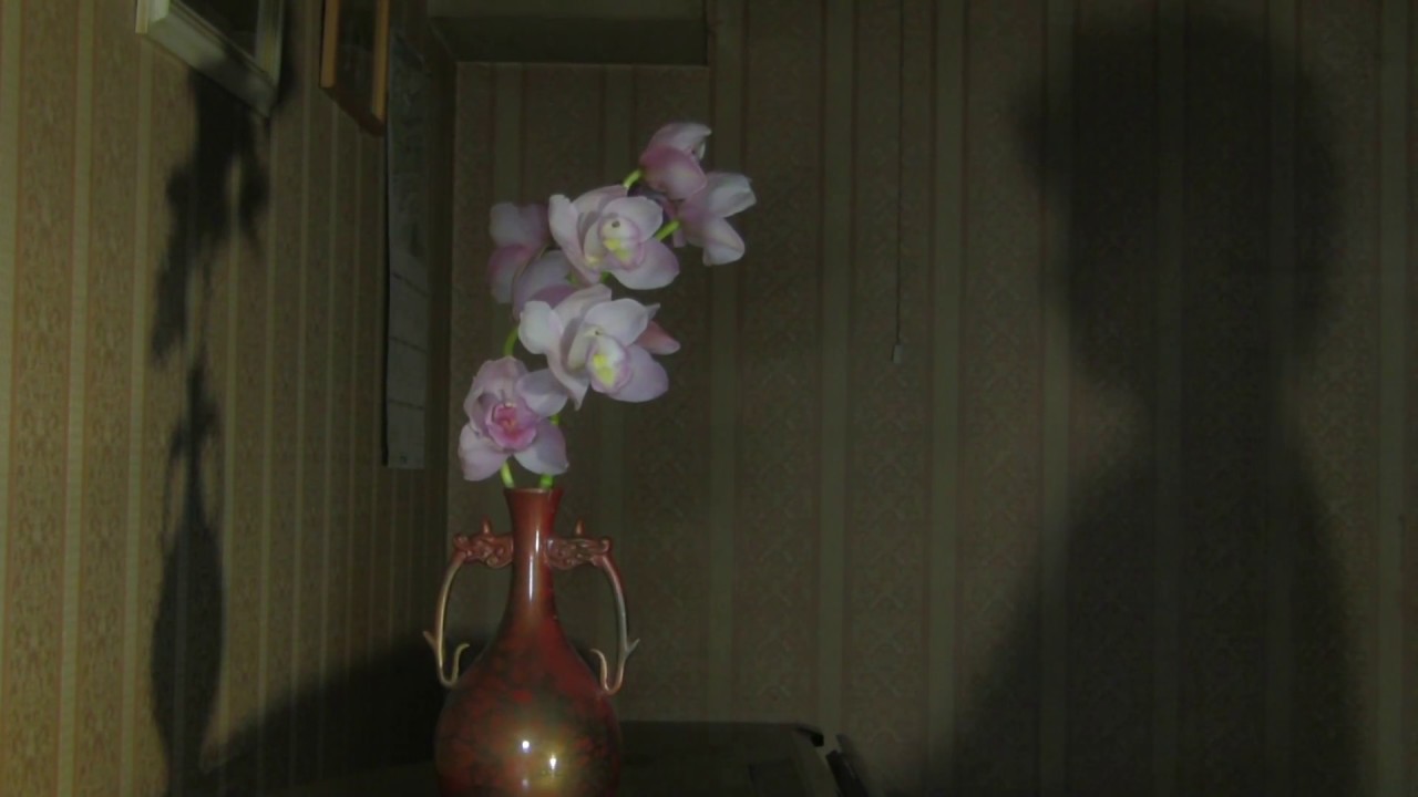 シルエット・ロマンス　大橋純子