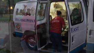 Trap-Neuter-Returning Cats in the Metro East