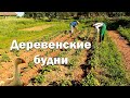 Сложил новую печь// Потеряли гуся// Орда мохноножек