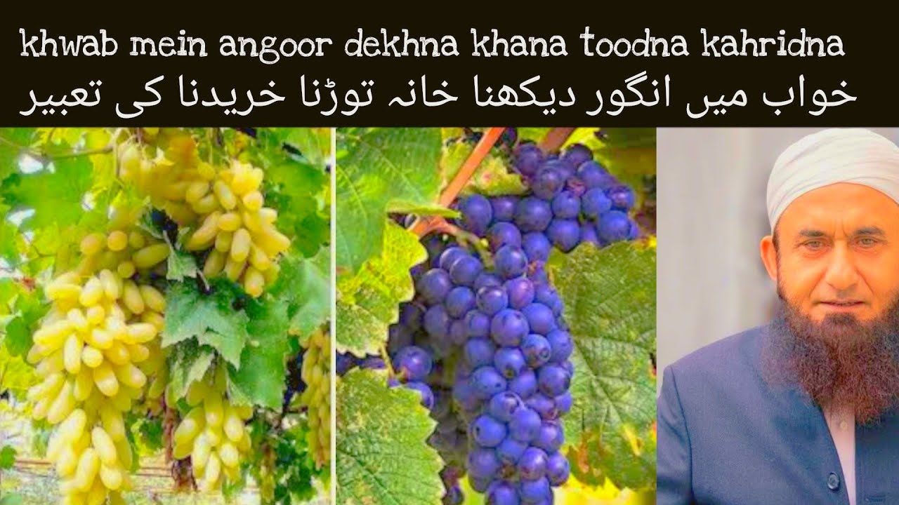 khwab-mein-angoor-dekhna-khwab-mein-angoor-bel-se-toodna-khwab-mein
