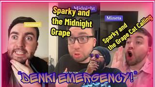 Matt Curtin MHA Sparky and the Grape Had Me Rolling!