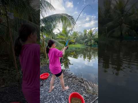Cá tra này làm món gì ngon nhỉ 😂 #fishing #câucá #caucagiaitri