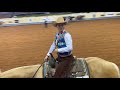 2020 AQHA World Show Amateur Working Western Rail