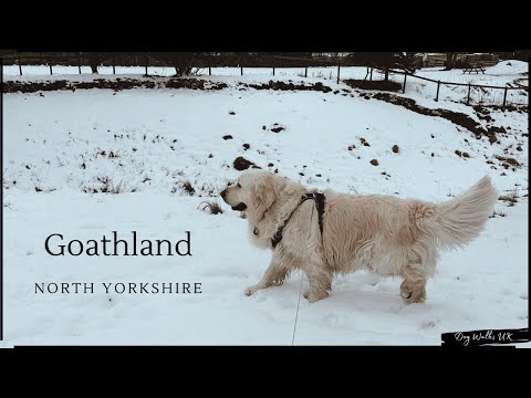 Goathland｜North Yorkshire｜UK｜Virtual Walk｜Dog Walking Route｜4K